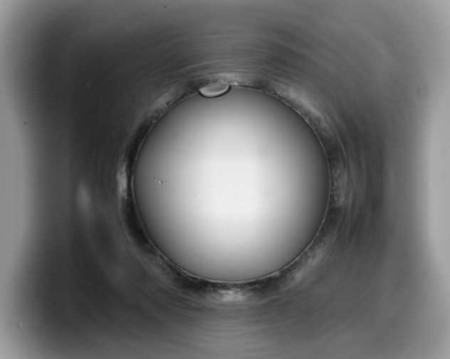 X0000099570310200805301546