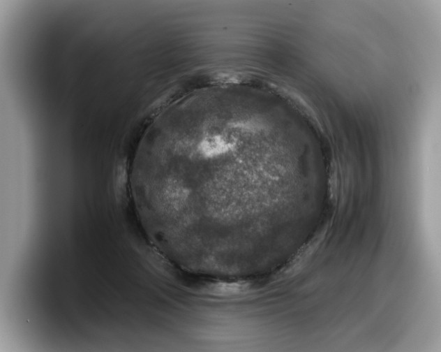 X0000099570314200805301545