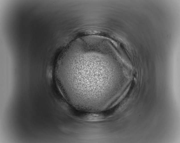 X0000099570315200805301545