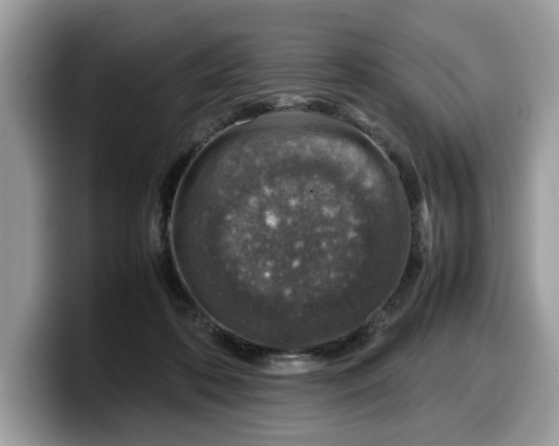 X0000099570316200805301545