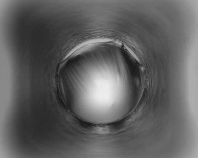 X0000099570317200805301545