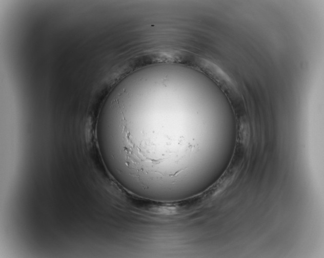 X0000099570318200805301545