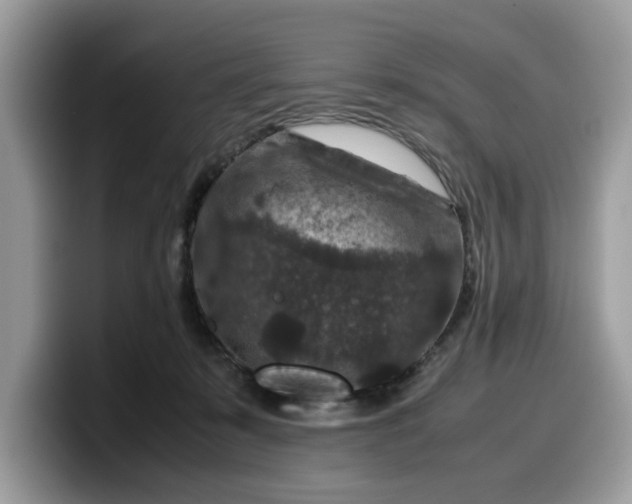 X0000099570319200805301545