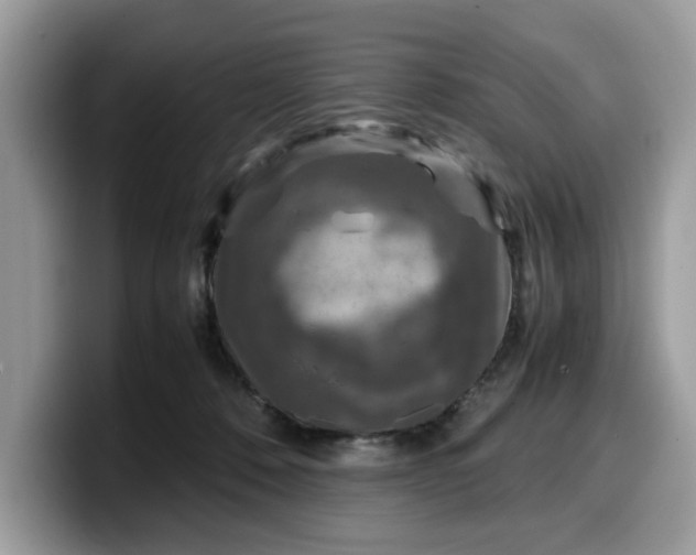 X0000099570320200805301545