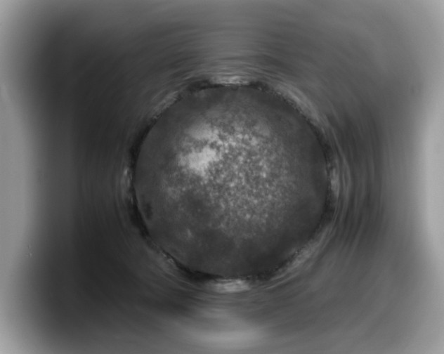 X0000099570322200805301545