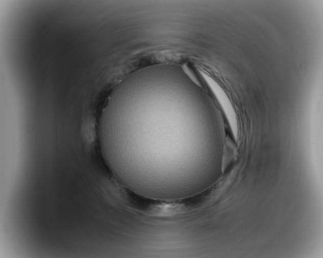 X0000099570323200805301545