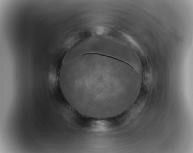 X0000099570324200805301545