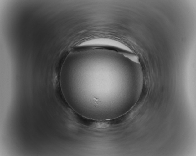 X0000099570327200805301545