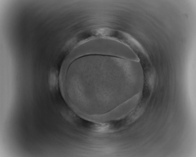 X0000099570328200805301545