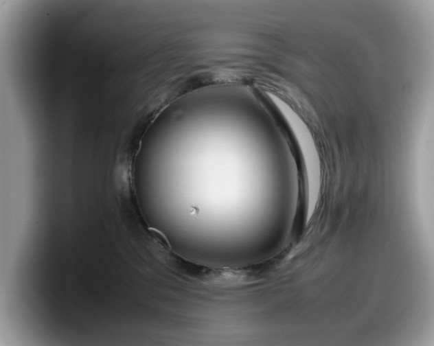 X0000099570329200805301545