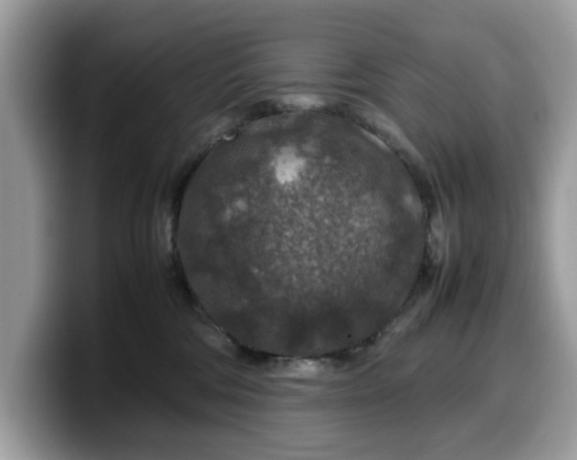 X0000099570330200805301545
