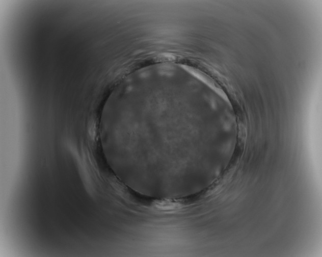 X0000099570331200805301545