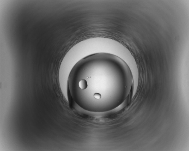 X0000099570332200805301545