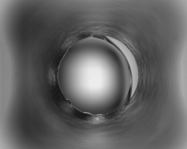 X0000099570333200805301545