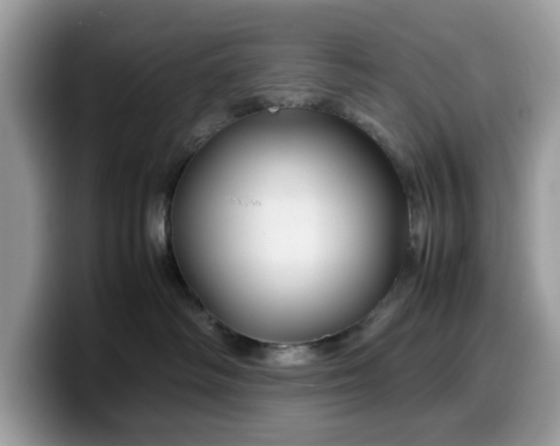 X0000099570334200805301545