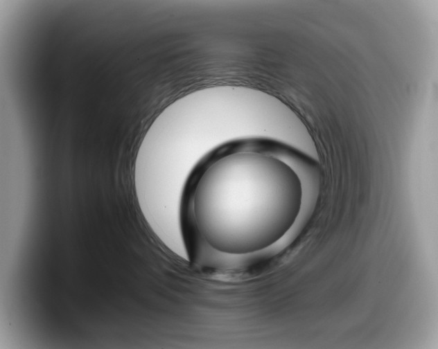 X0000099570336200805301545