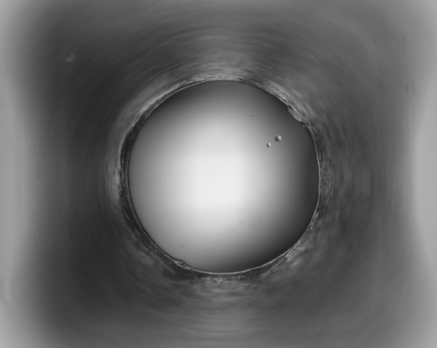 X0000099570338200805301545