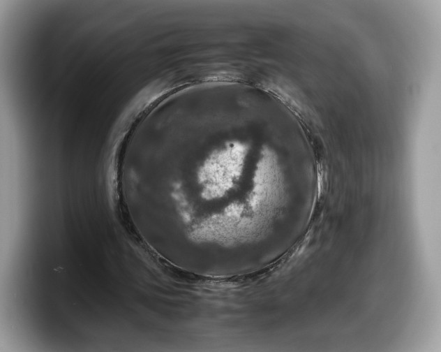 X0000099570339200805301545