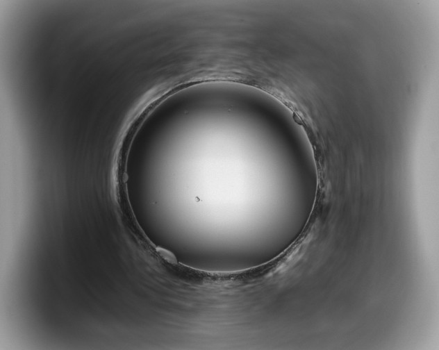 X0000099570340200805301545