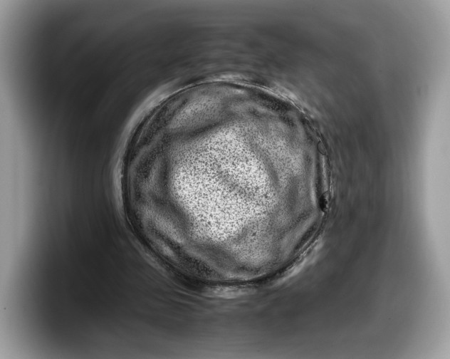 X0000099570341200805301545
