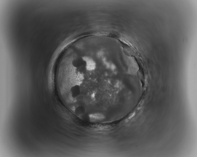 X0000099570343200805301545