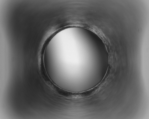 X0000099570344200805301545