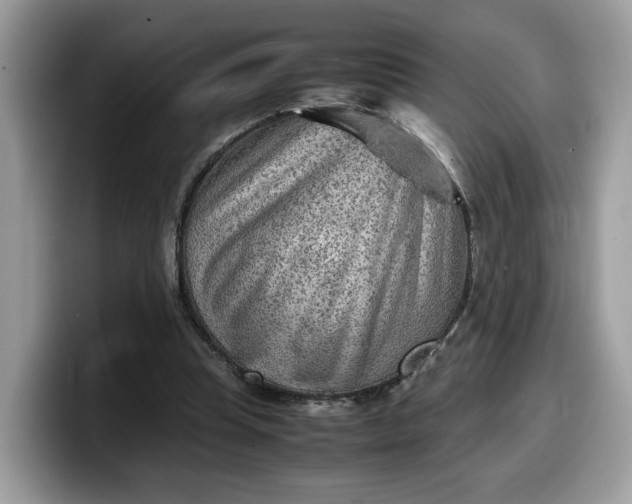 X0000099570345200805301545