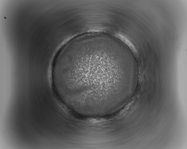 X0000099570346200805301545