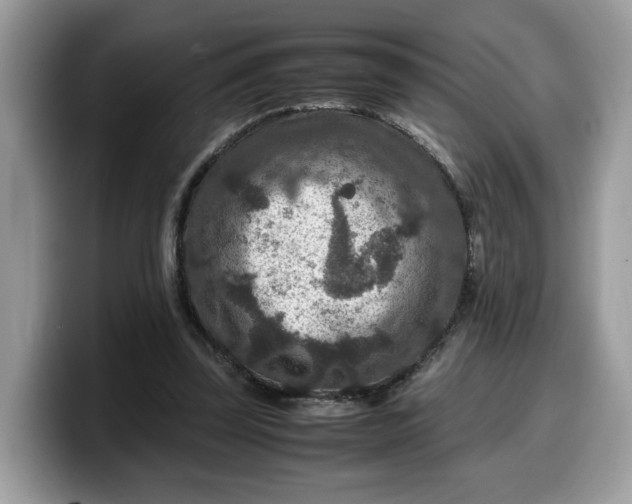 X0000099570347200805301545