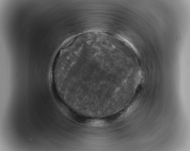X0000099570348200805301545