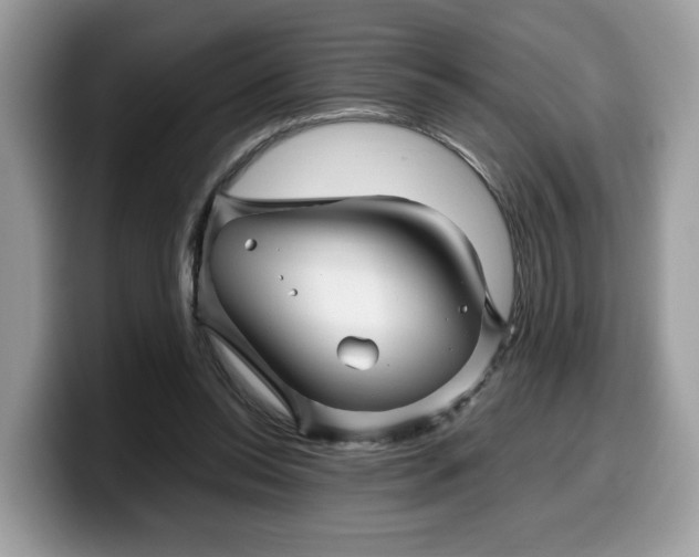 X0000099570350200805301545