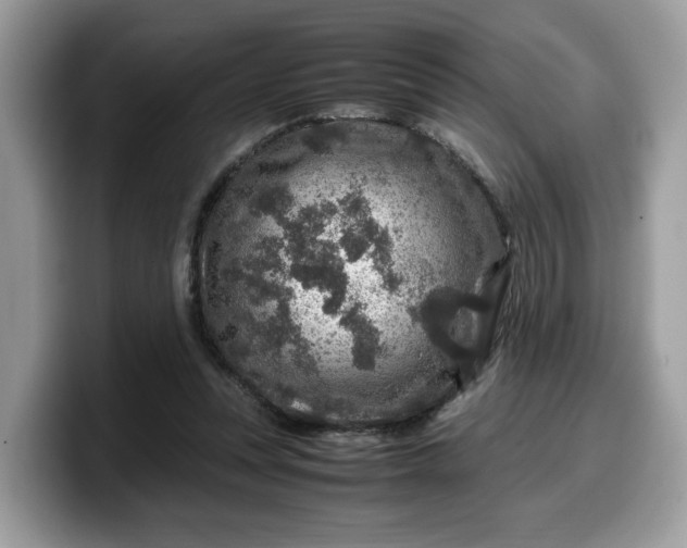 X0000099570351200805301545