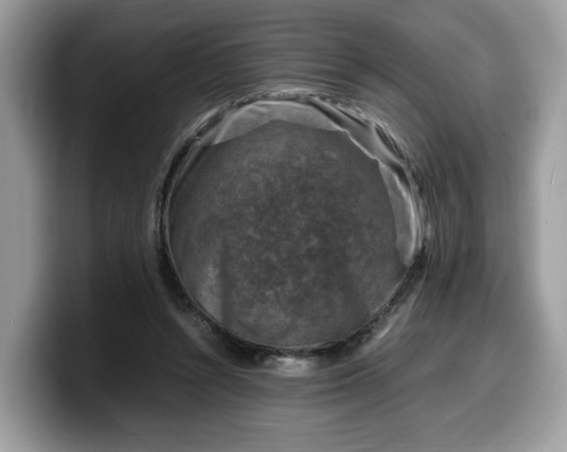 X0000099570352200805301545
