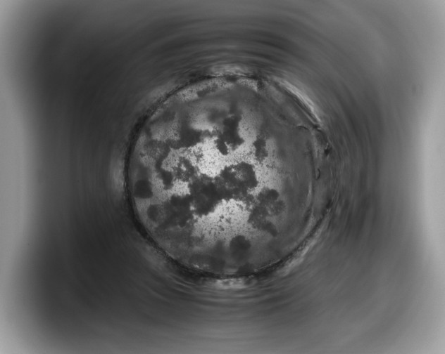 X0000099570353200805301545