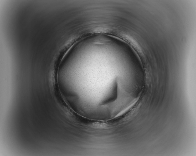 X0000099570354200805301545