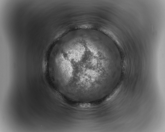 X0000099570355200805301545