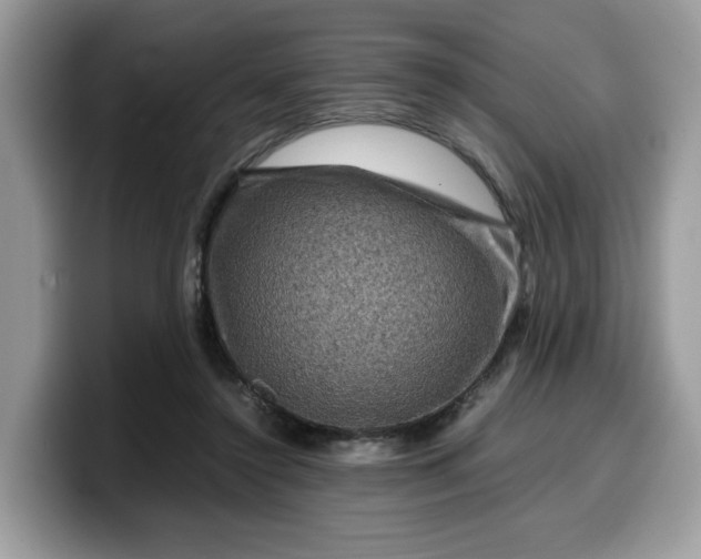 X0000099570356200805301545