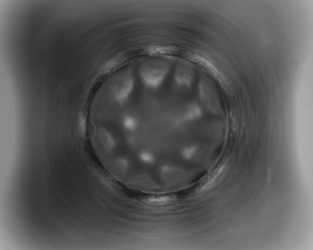 X0000099570357200805301545