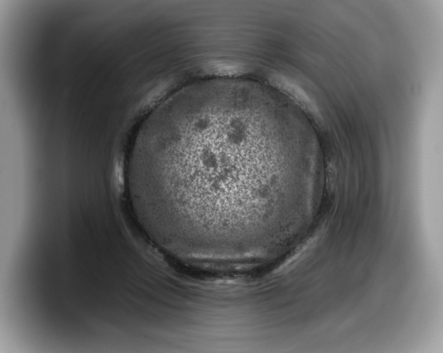 X0000099570358200805301545