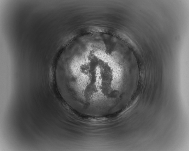 X0000099570359200805301545