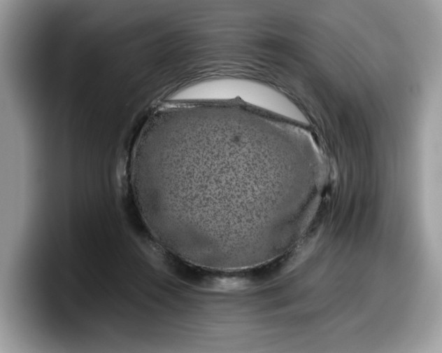 X0000099570360200805301545
