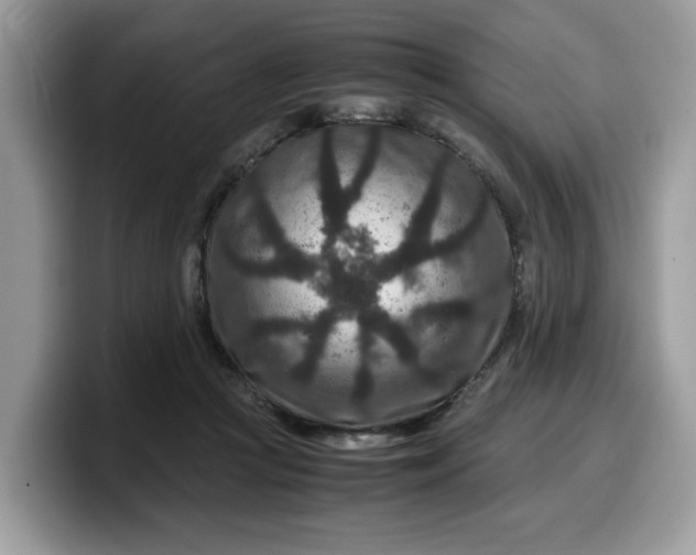 X0000099570361200805301545