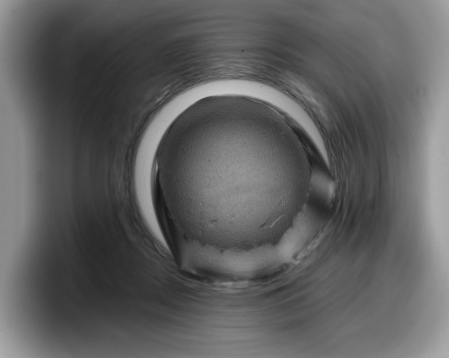 X0000099570362200805301545