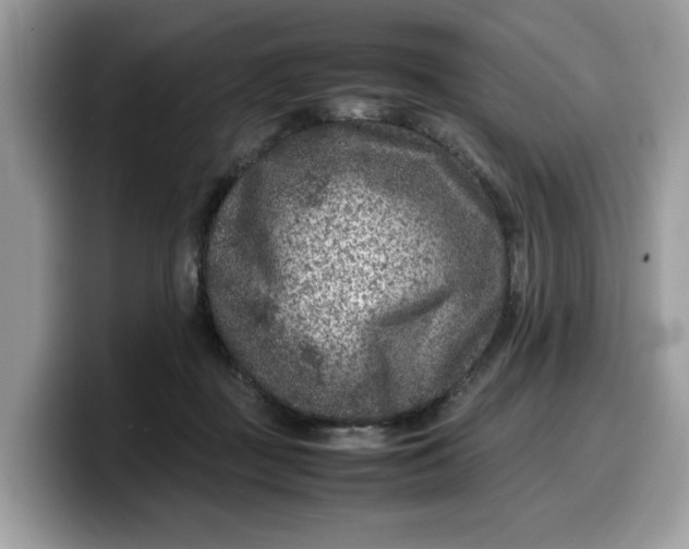 X0000099570363200805301545