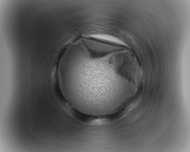 X0000099570364200805301545