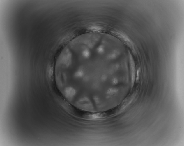 X0000099570365200805301545