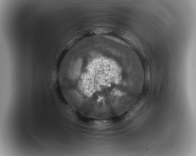 X0000099570367200805301545