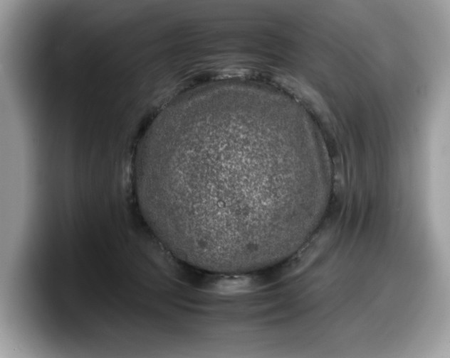 X0000099570369200805301545
