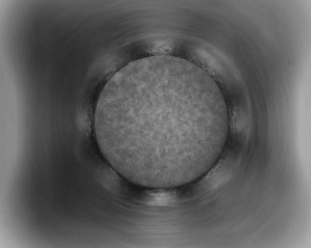 X0000099570370200805301545