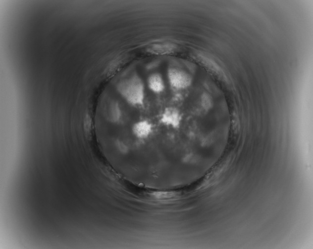 X0000099570371200805301545